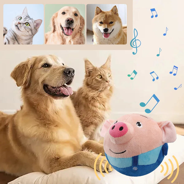 Bouncing Buddy Dog Toy
